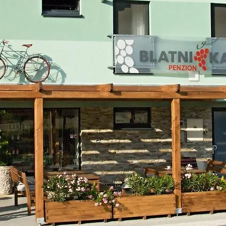 Penzion Blatnicka Gasthof 3*